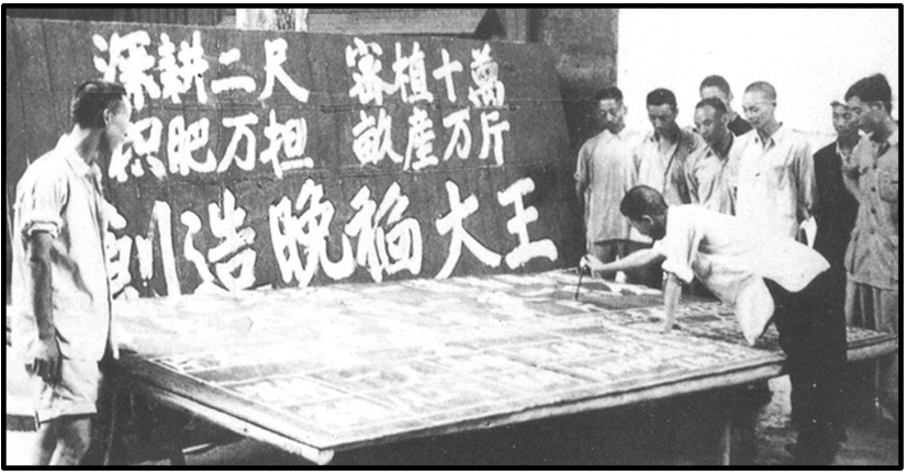 2013—2014学年《三维设计》人教版必修二第四单元 第11课 课时跟踪训练