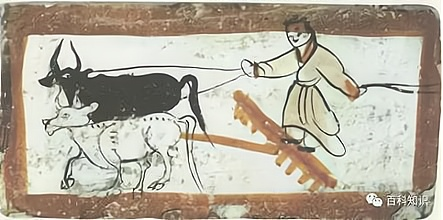 浙江省杭州市2020年中考历史试题