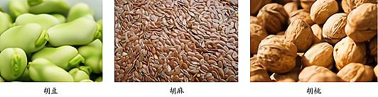 四川省绵阳市2020年中考历史试题