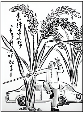 2013—2014学年《创新设计》人教版必修三：第19课《建国以来的重大科技成就》练习