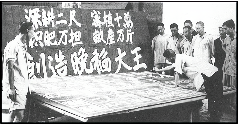 2013—2014学年《三维设计》人教版必修二第四单元 第11课 课时跟踪训练
