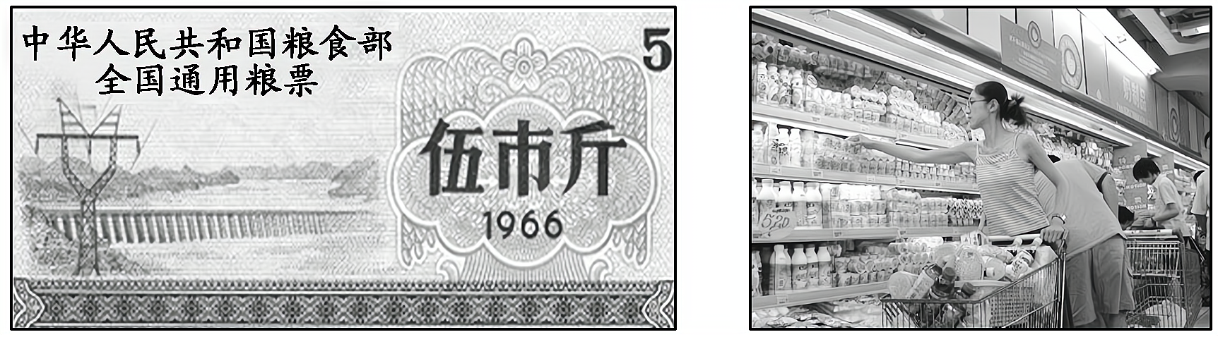 2013—2014学年《三维设计》人教版必修二第四单元 第12课 课时跟踪训练