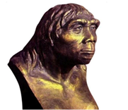 202605121118277487