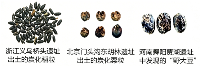 202607201029432645