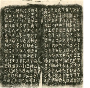 202608141444276155